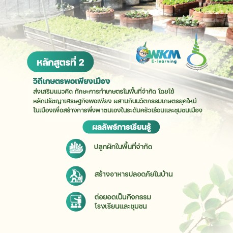 หลักสูตรที่